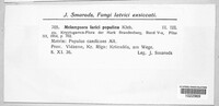 Image Associated With the Occurence